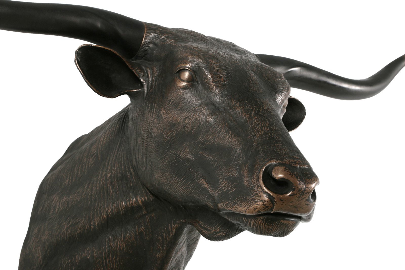 Imperial Texas Long Horn - Image 4