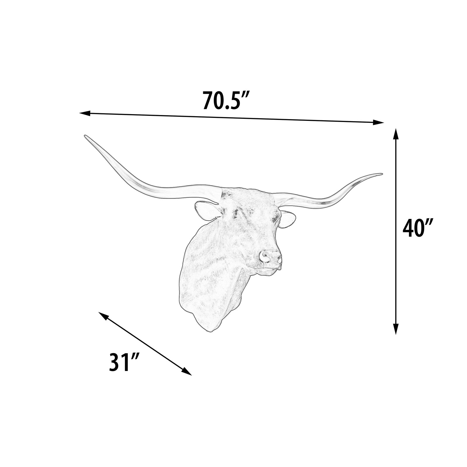 Imperial Texas Long Horn - Image 5