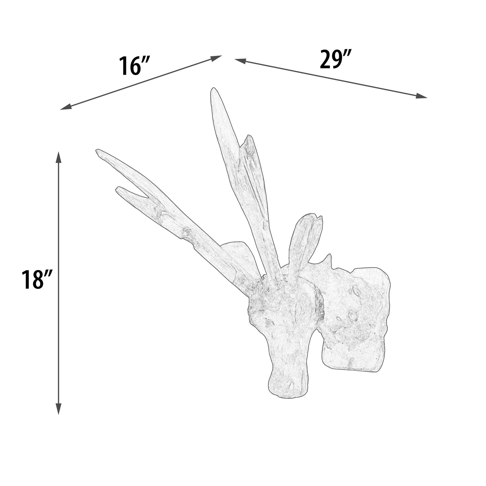 Teak Trophy Deer Head Wall Mount Sculpture 12"W x 17"D x 29"H - Image 5