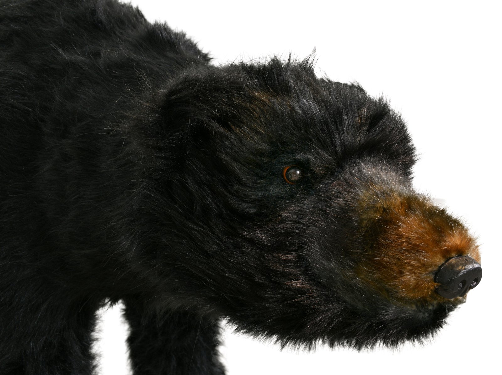 North American Black Bear Walking Statue with Faux Fur 59L - Image 4